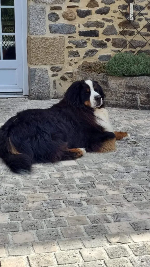 Cooling off outside.